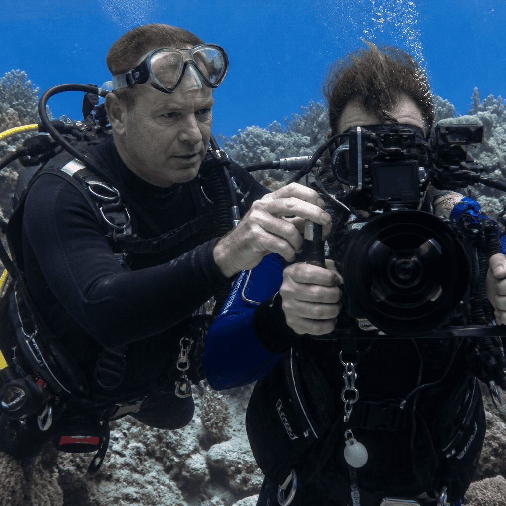 How to Become an Underwater Cinematographer: Career Path, Skills, and First Steps