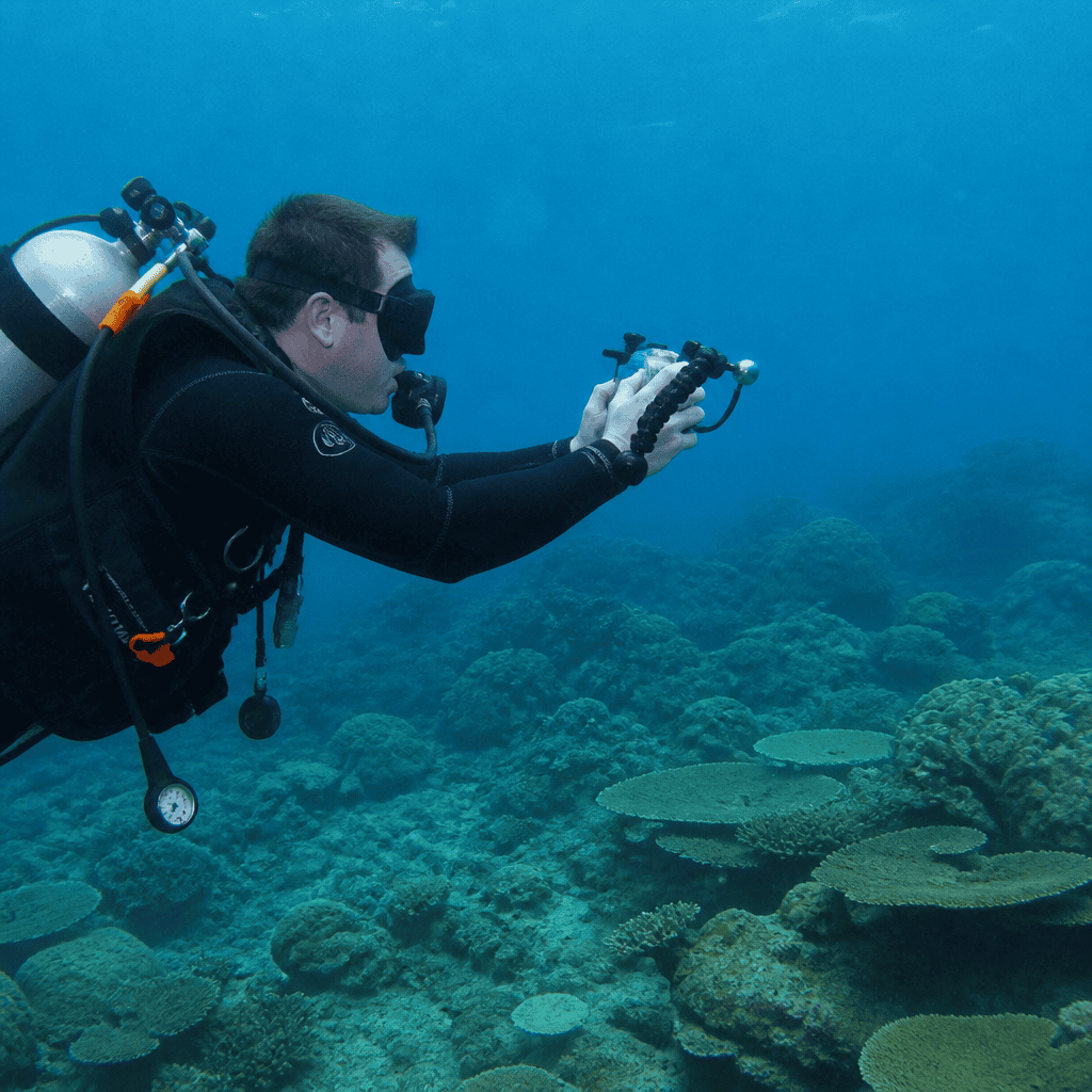 Underwater Cinematography Basics: A Practical Introduction to Filming Beneath the Surface