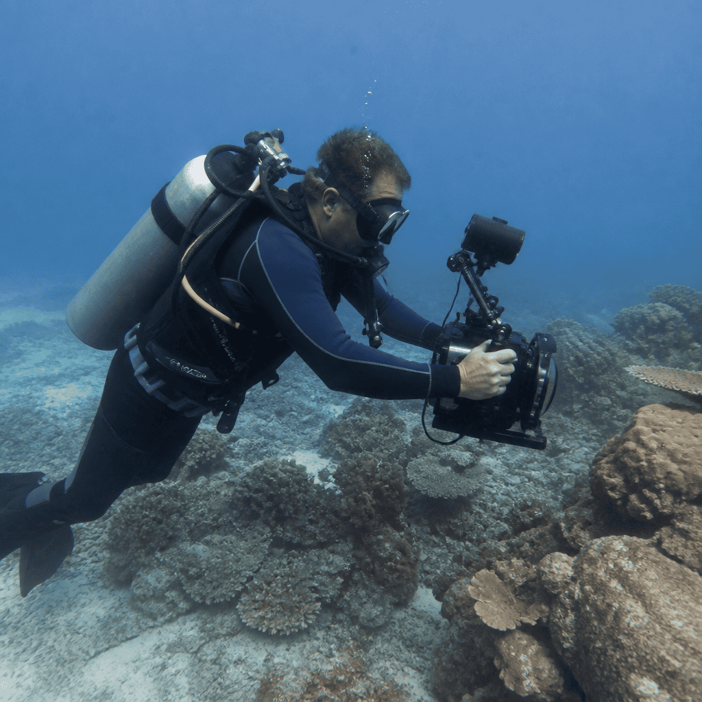 How to Become an Underwater Cinematographer: Career Path, Skills, and First Steps