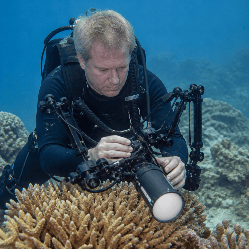 Lighting for Underwater Filming: Techniques for Accurate Color and Cinematic Results