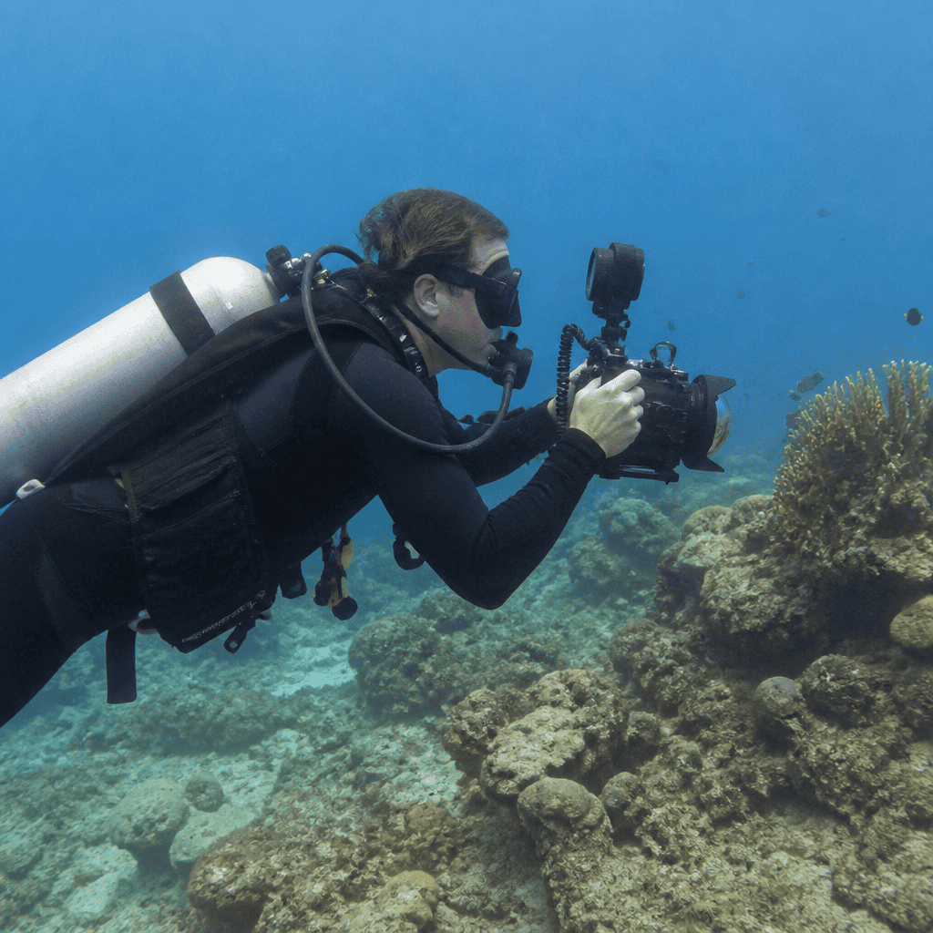 Diving Certifications for Filmmakers: Essential Training for Underwater Work