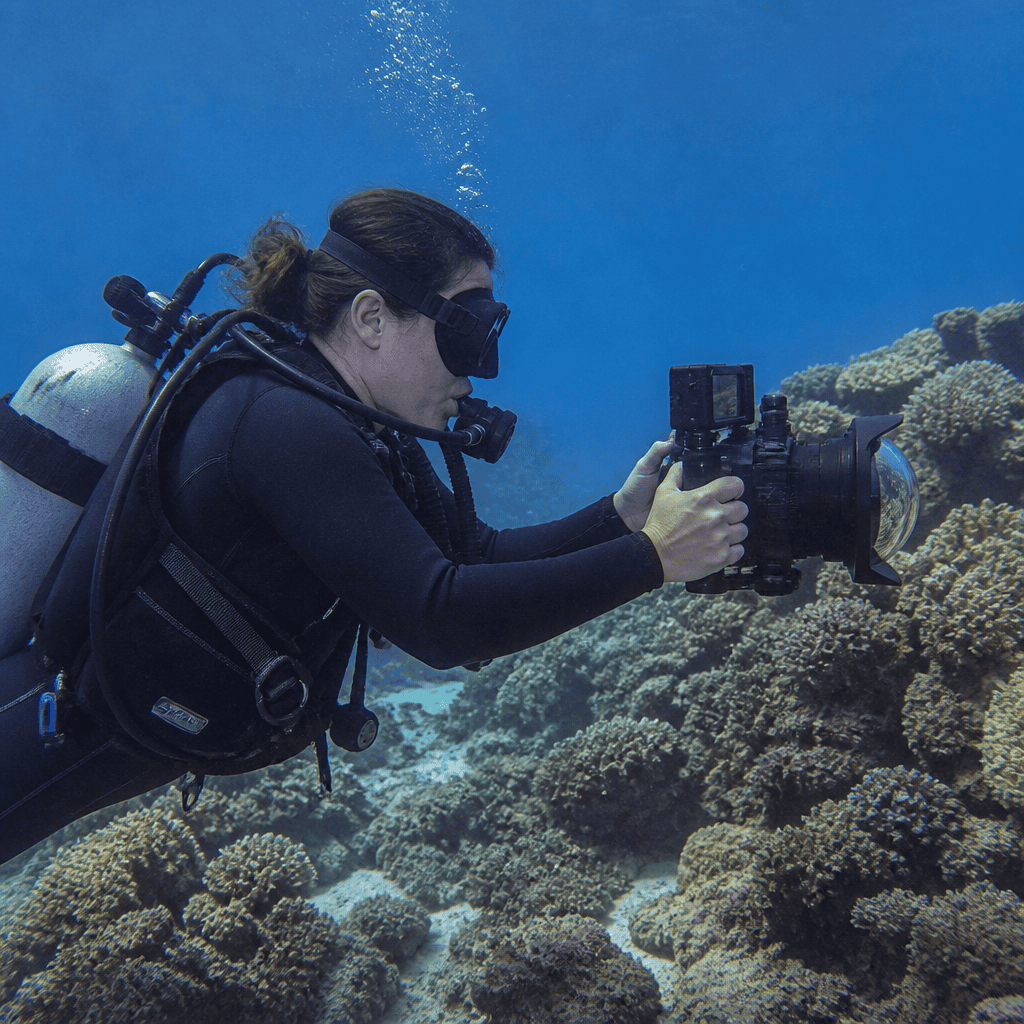 How to Become an Underwater Cinematographer: Career Path, Skills, and First Steps