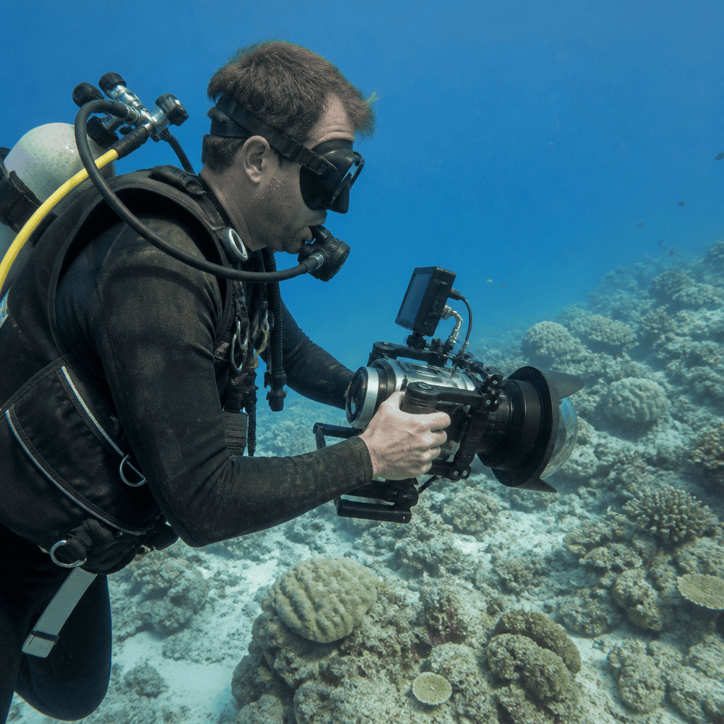 Underwater Cinematographer Career: How to Break Into High-End Filmmaking