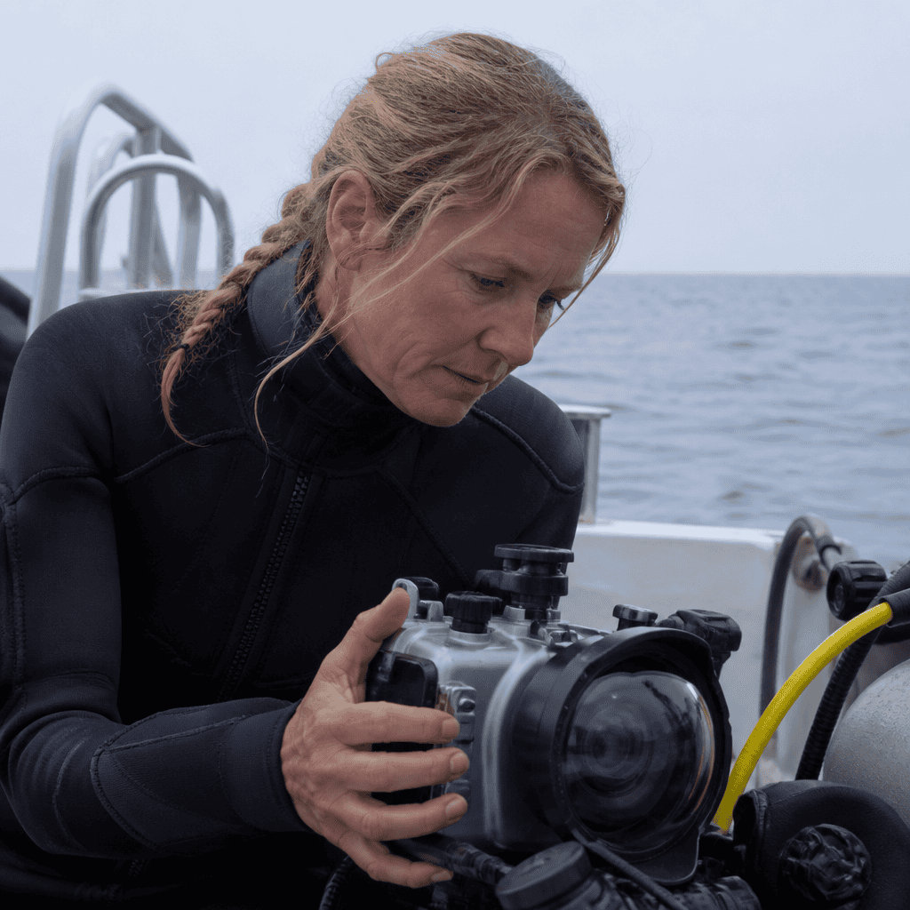 Essential Underwater Filming Equipment: Cameras, Housings, and Must-Have Gear